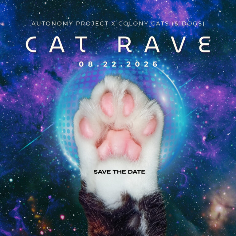 Cat Rave 2.0